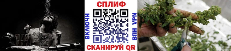 Бошки Шишки LSD WEED  Могоча 